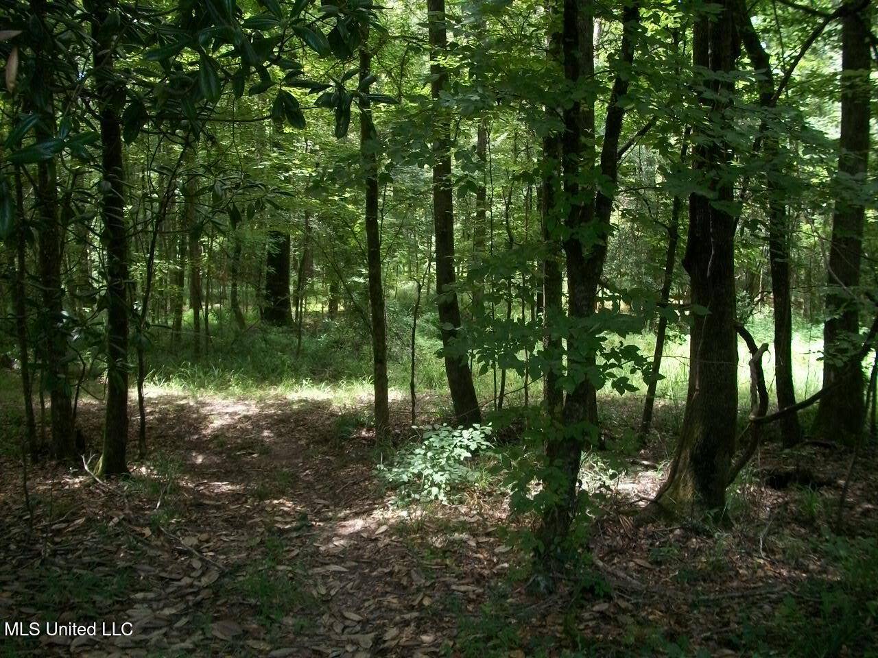 Meadville, MS 39653,Oldenburg Road