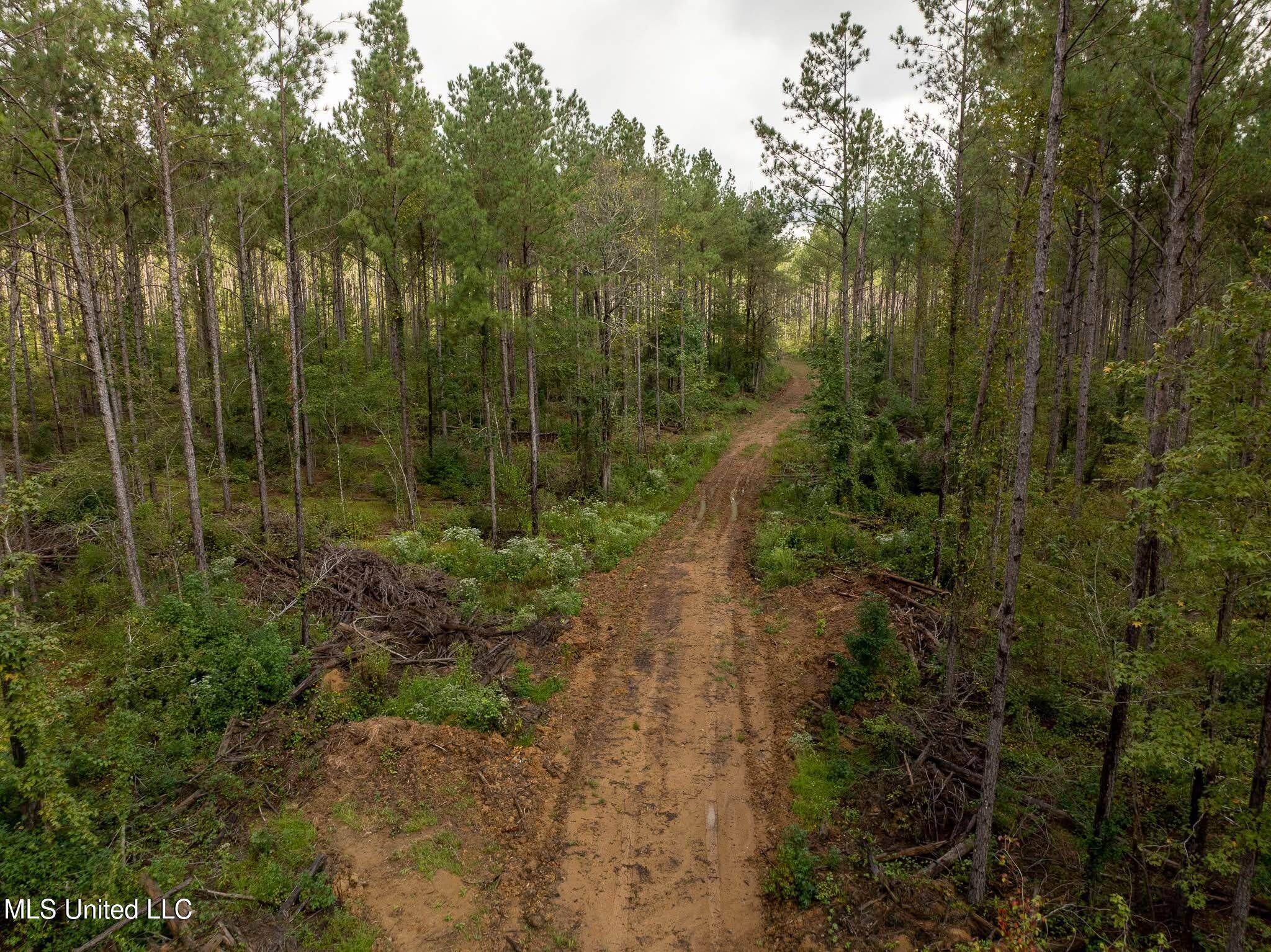 Brandon, MS 39047,Pisgah Road