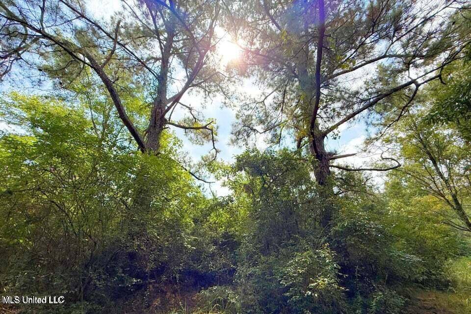 Vancleave, MS 39565,8405 Wire Road