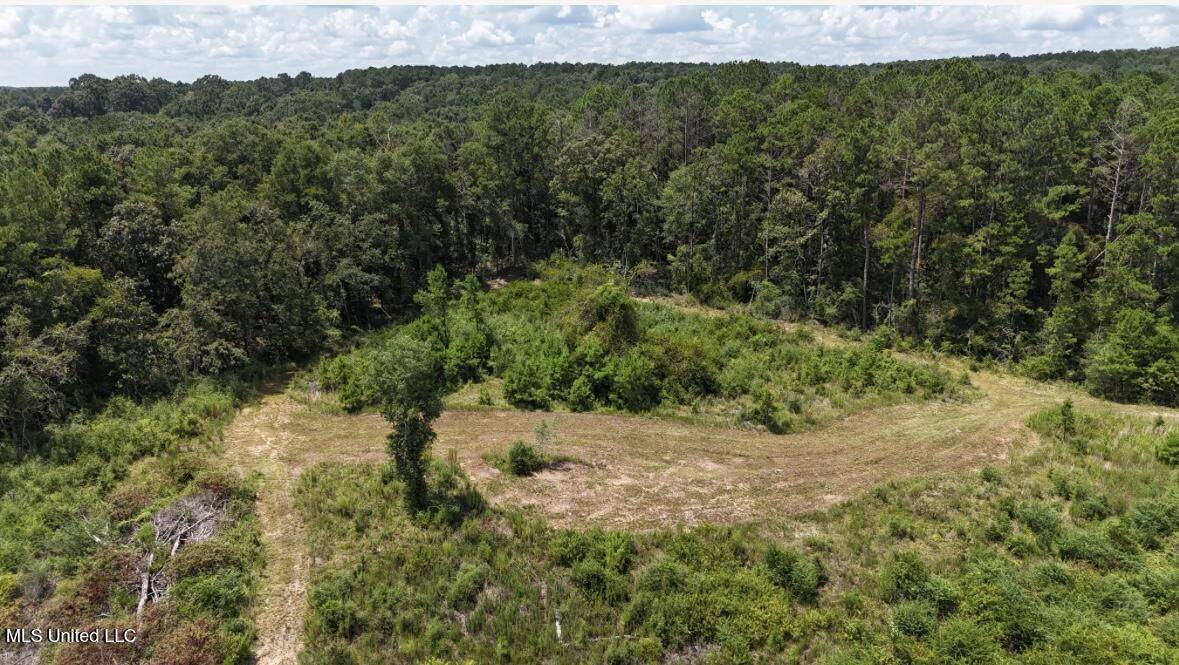 Bassfield, MS 39421,00 Ebenzer Church Road