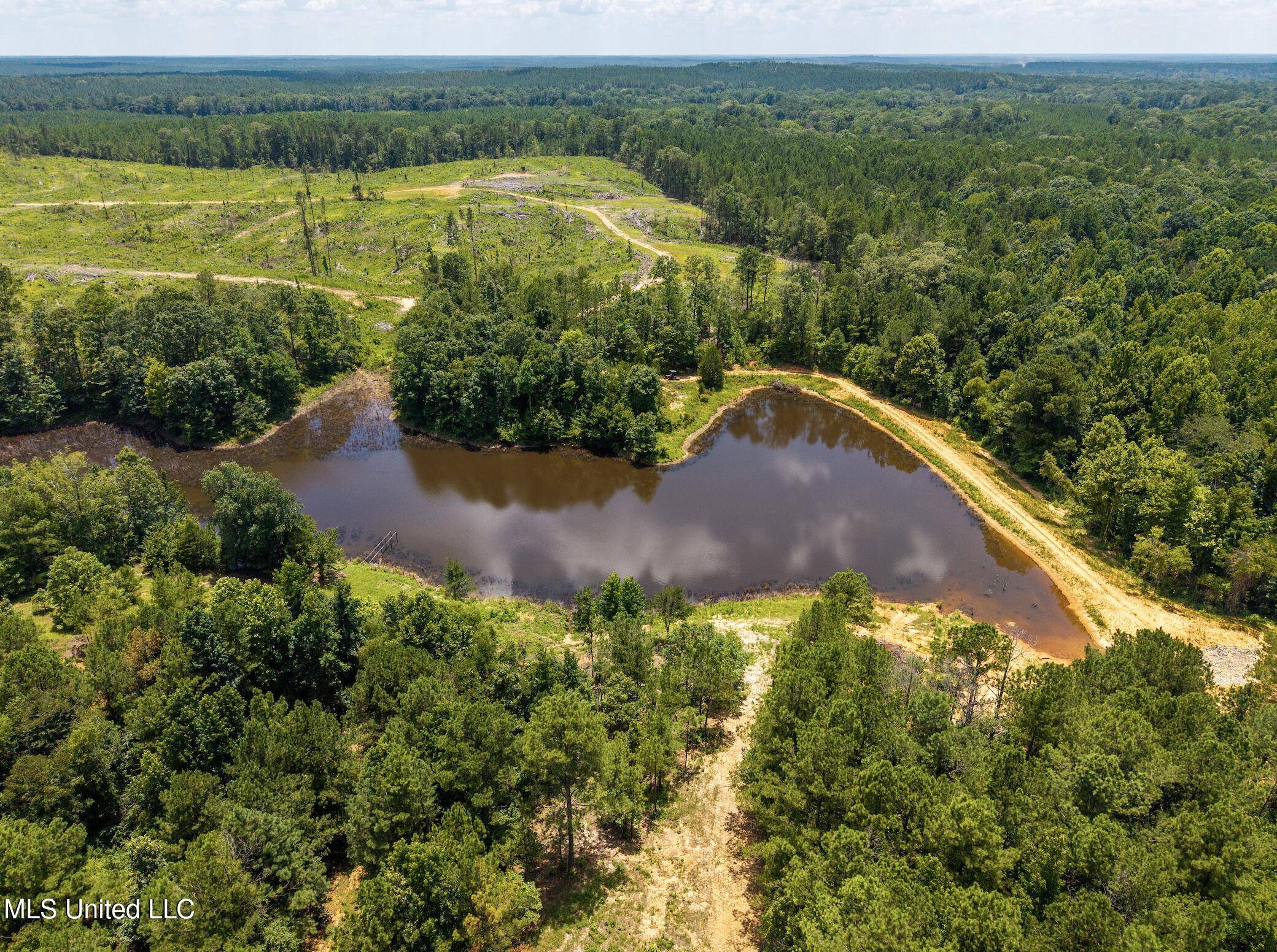 Canton, MS 39046,Mt Zion Road