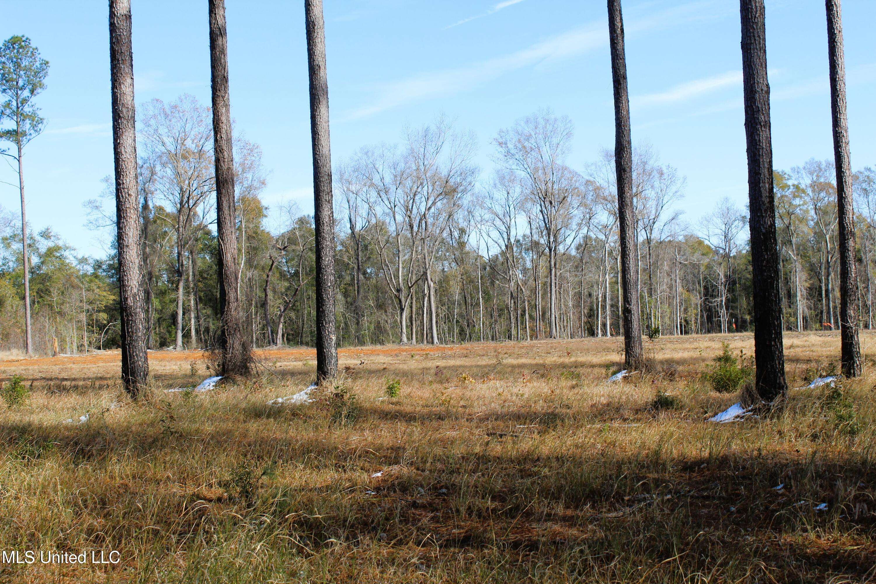 Lucedale, MS 39452,64 Basin Central Road