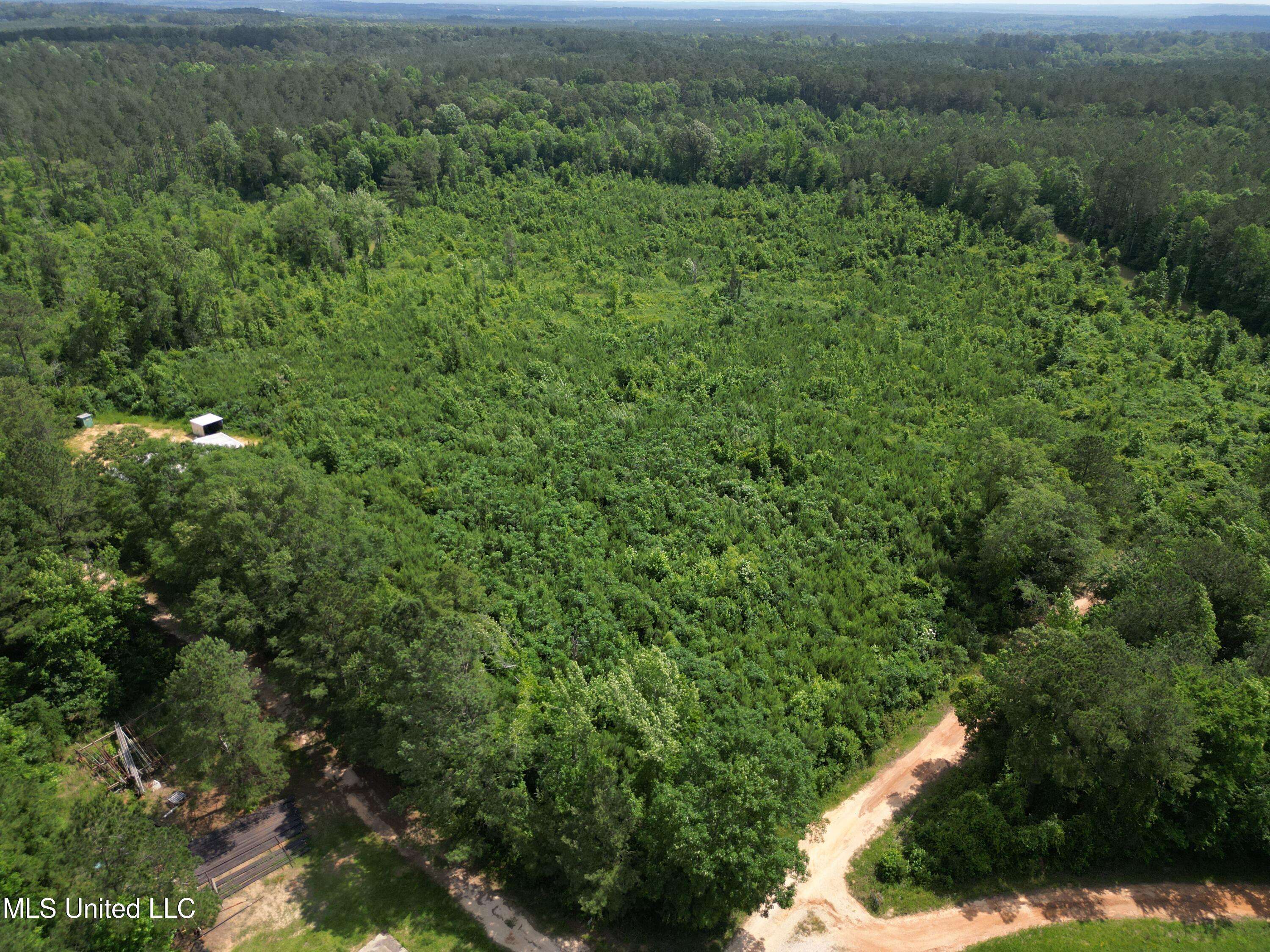 Bay Springs, MS 39422,Co Rd 2337