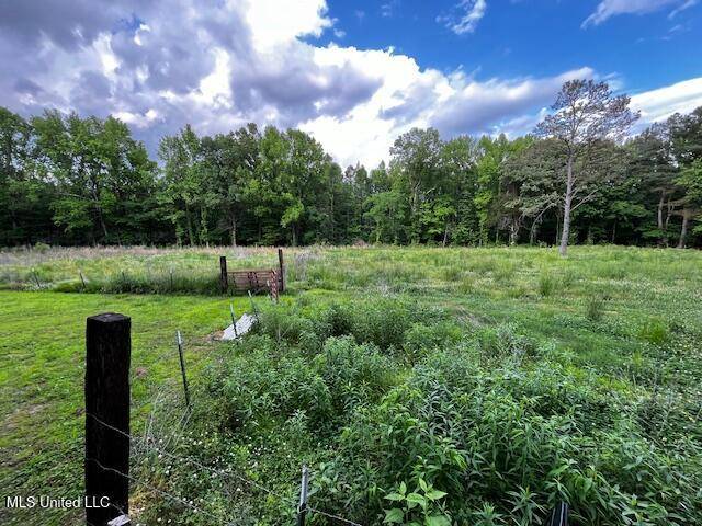 Red Banks, MS 38661,5116 Hwy 178