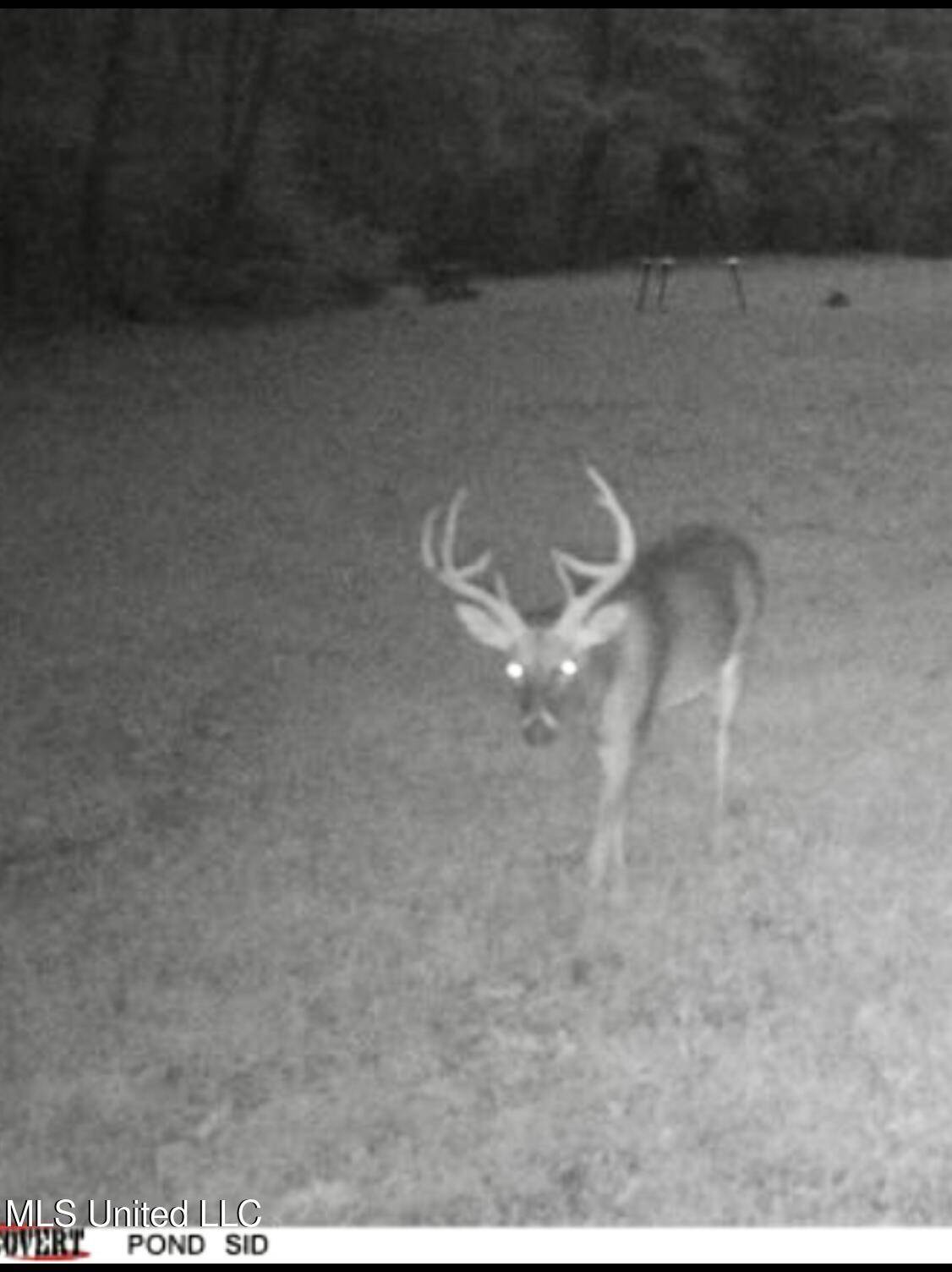 Lexington, MS 39095,19757 Highway 17