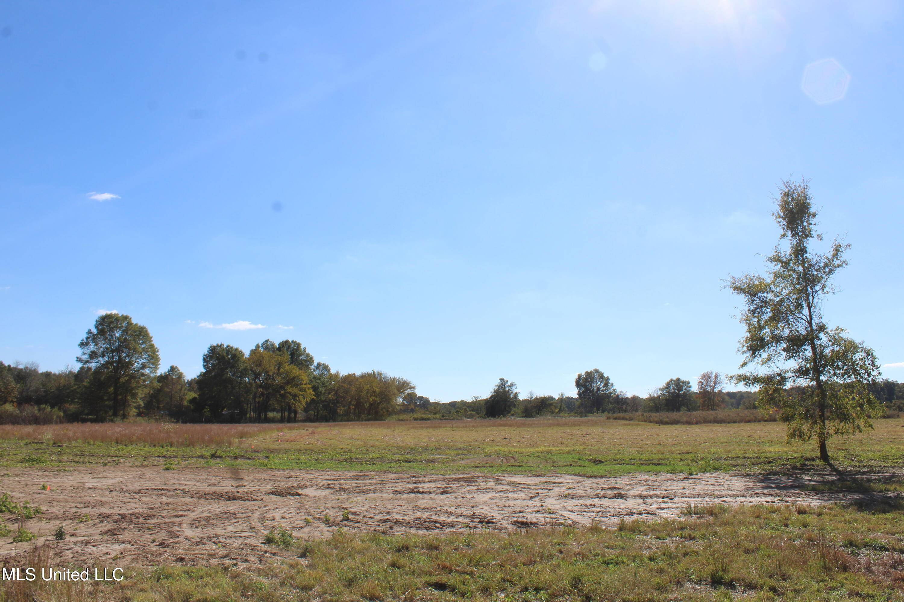 Michigan City, MS 38647,25 Pin Oak Road