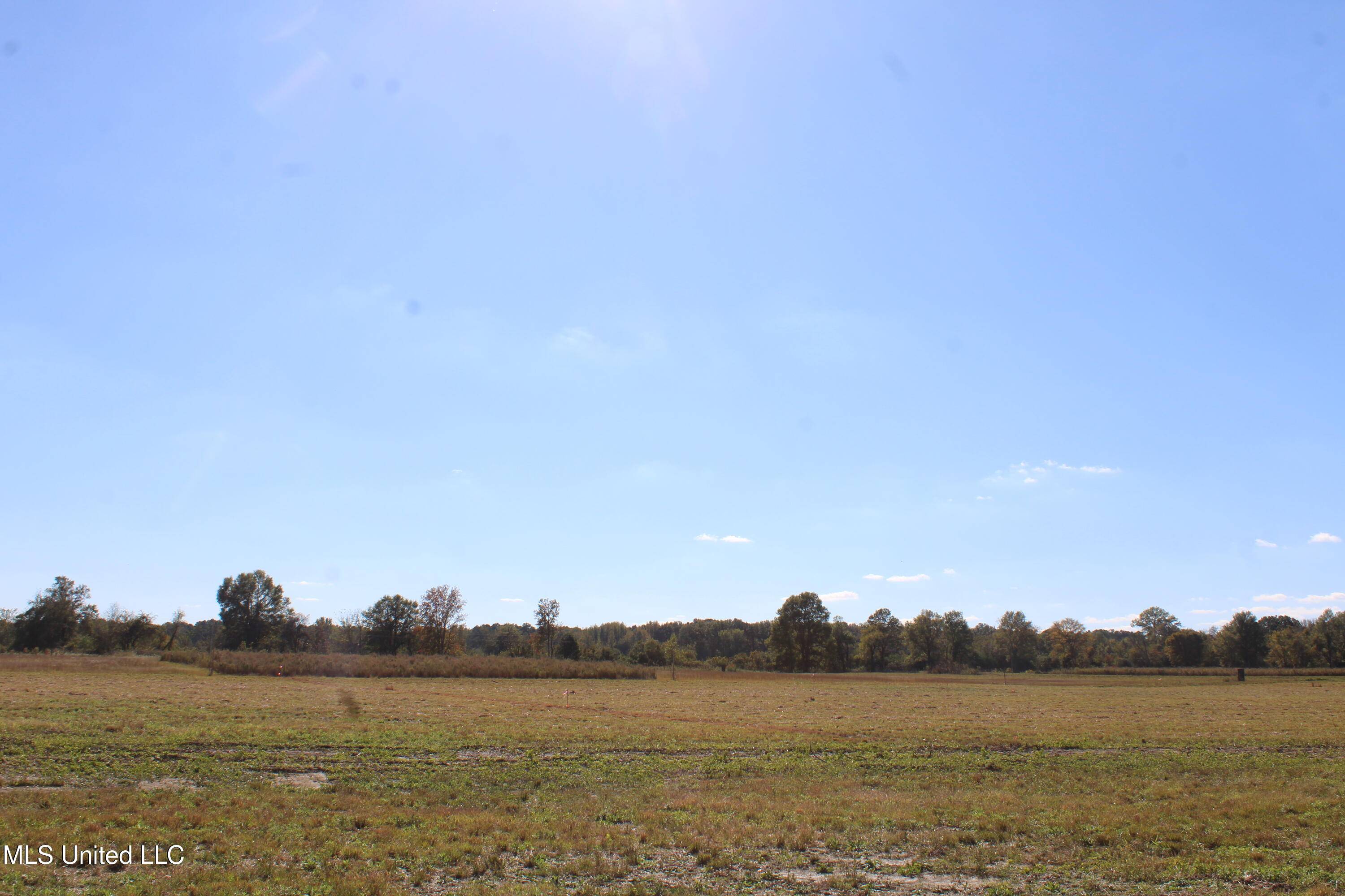 Michigan City, MS 38647,38 Pin Oak Road