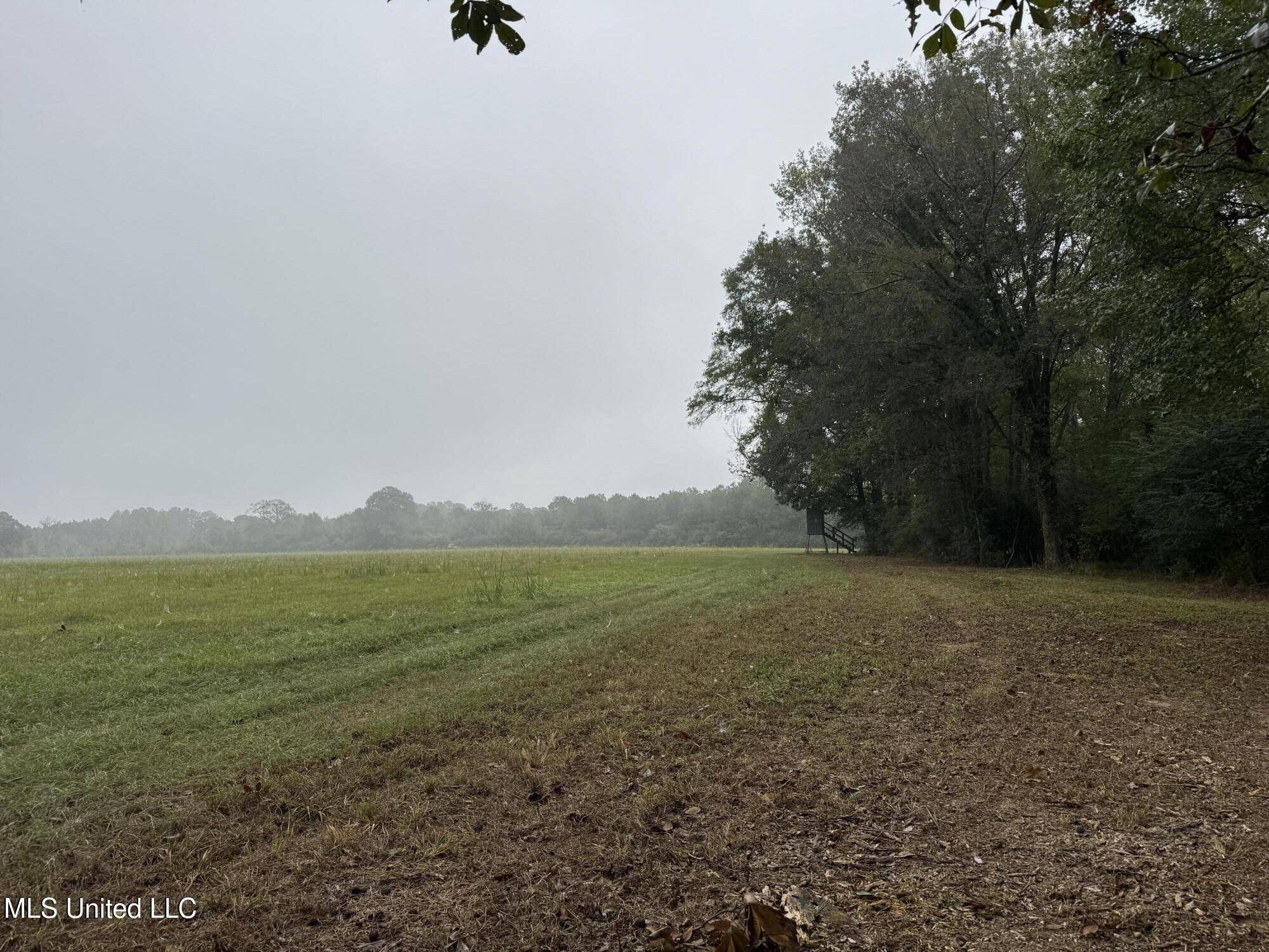 Columbia, MS 39429,821 Columbia Purvis Road