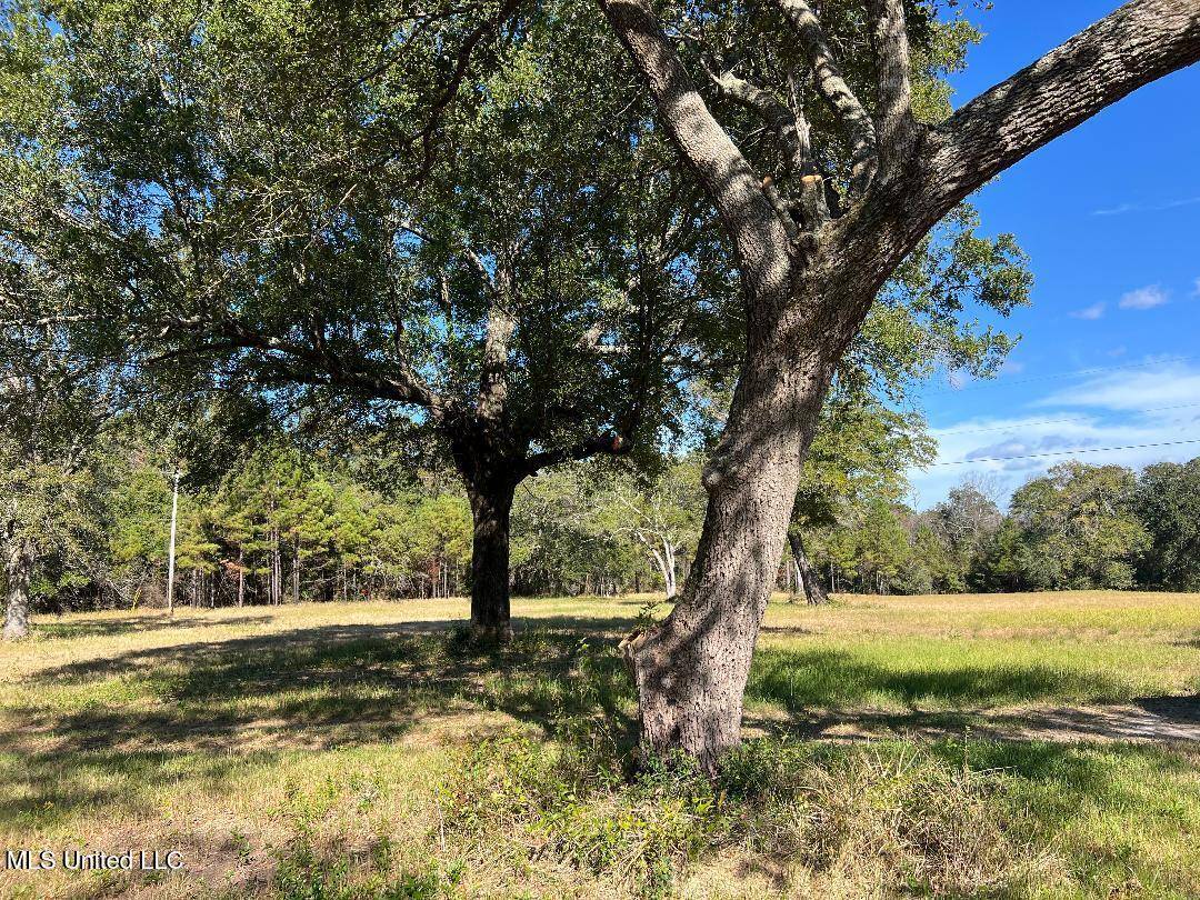 Pass Christian, MS 39571,0 Deschamp Road