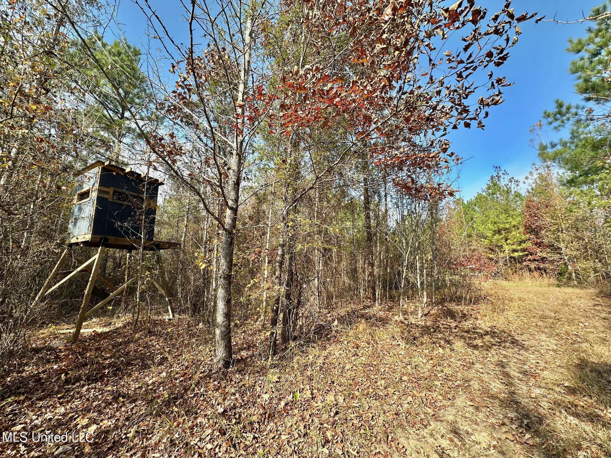 Mccool, MS 39108,3 County Road 3122