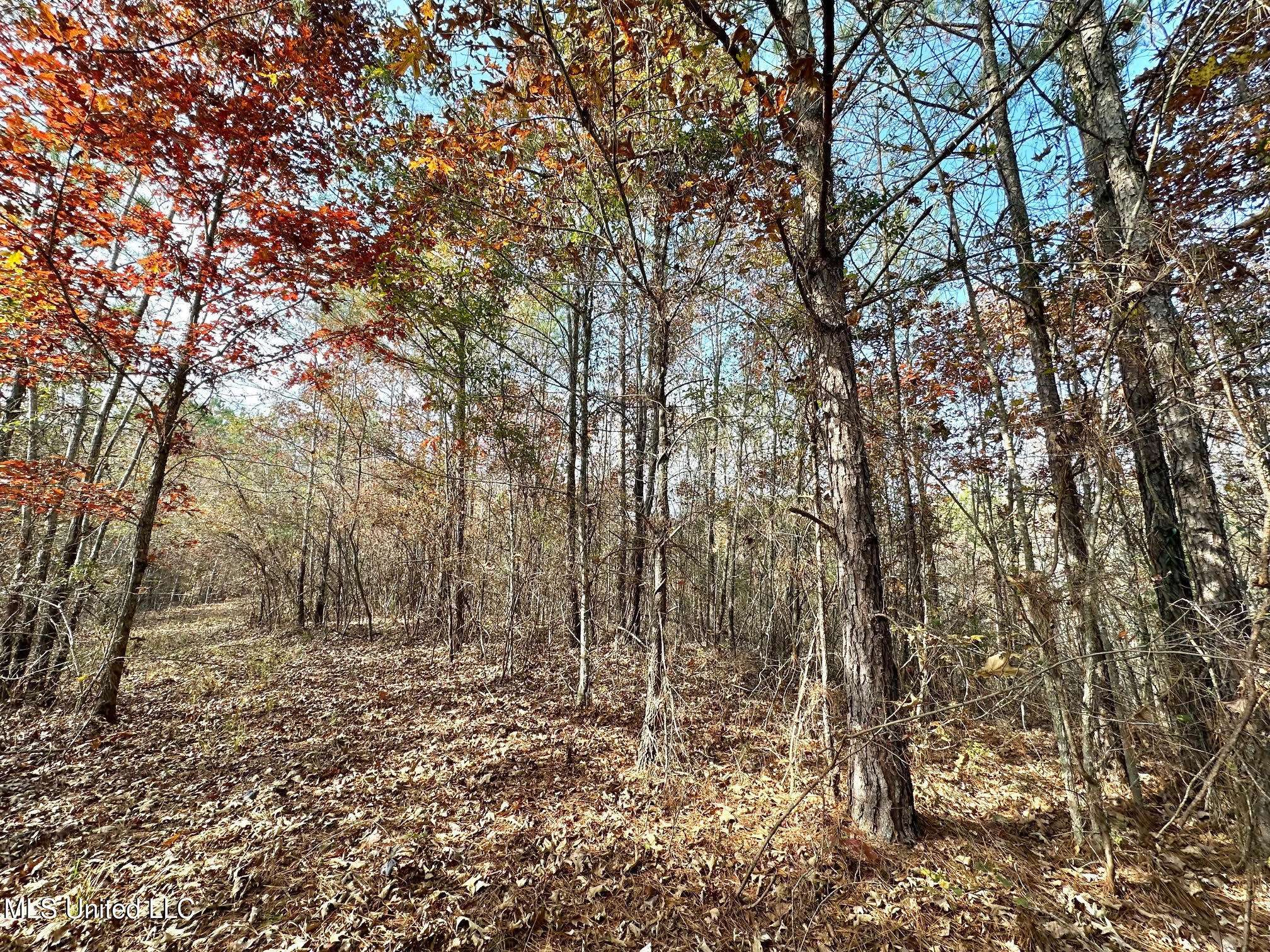 Mccool, MS 39108,5 County Road 3122