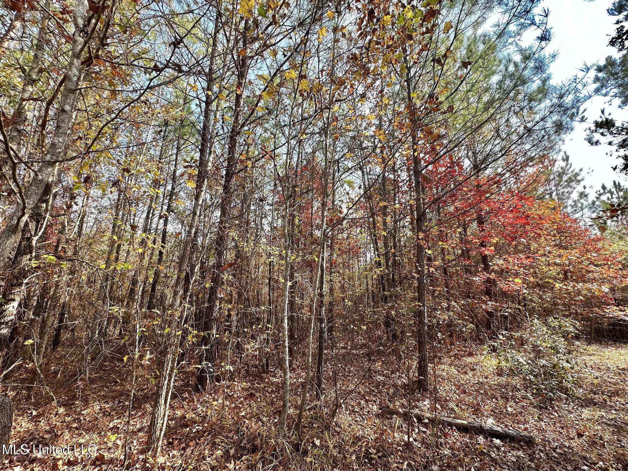 Mccool, MS 39108,5 County Road 3122