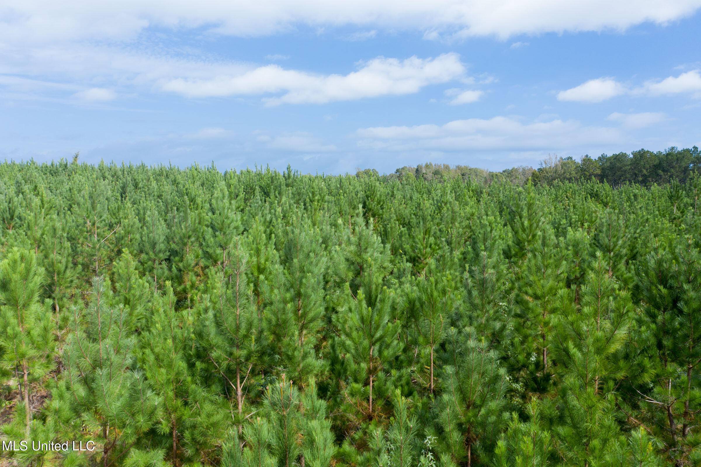 Mccool, MS 39108,10 Attala Road