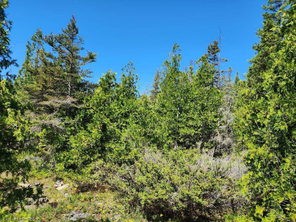 Northern Bruce Peninsula, ON N0H 1Z0,LOT 28 Little Pine Drive