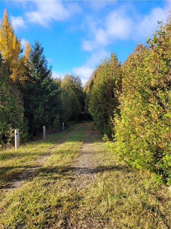 West Grey, ON N0C 1H0,PT LOT 88 Highway 10