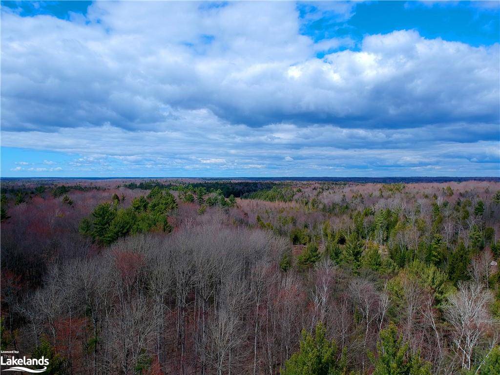 Bracebridge, ON P1L 1X1,0 Rainey Road