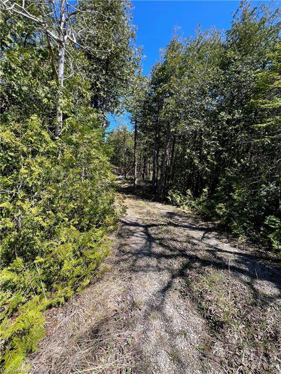 South Bruce Peninsula, ON N0H 2T0,LOT 32 CON 3 Highway 6