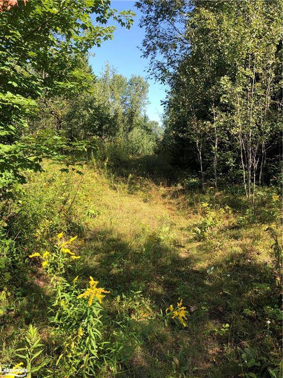 Haliburton, ON K0M 1S0,LOT 6-10 Moon Road