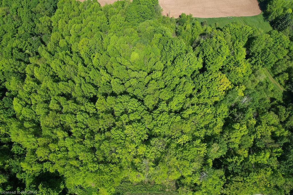 Georgian Bluffs, ON N4K 5N4,130 Maple Ridge Road