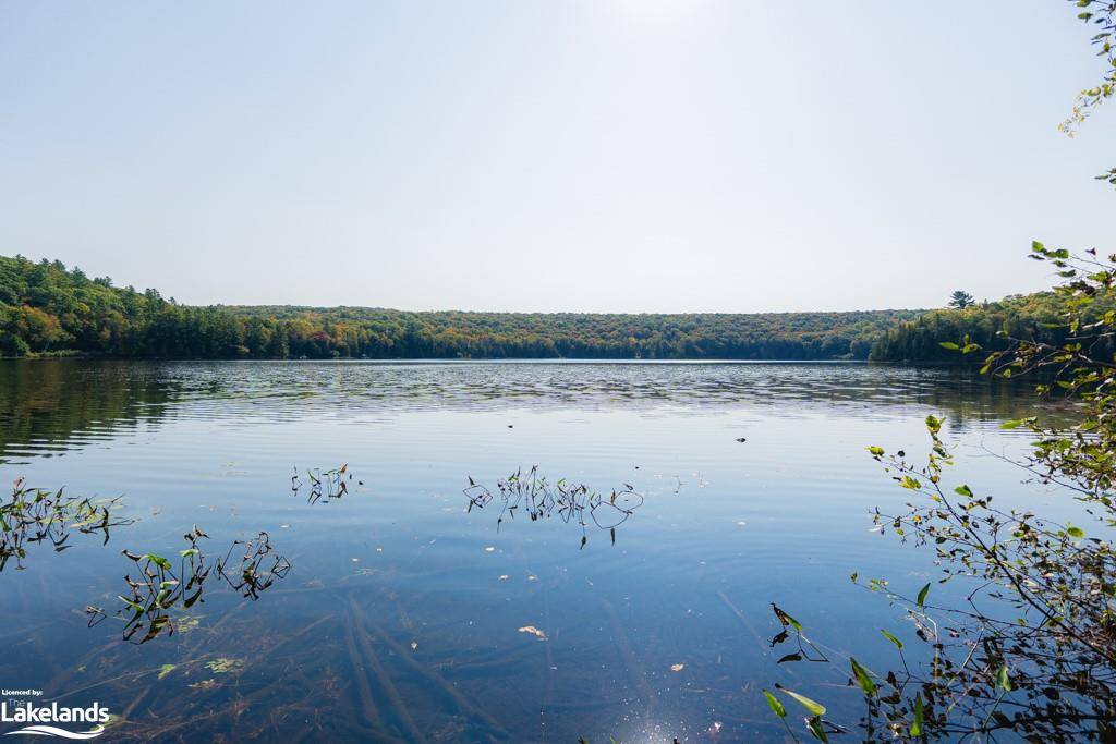 Haliburton, ON K0M 1S0,1170 Coleman Lake Road