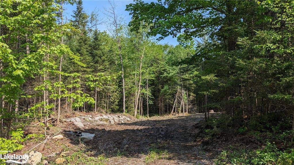 Lake Of Bays, ON P1H 2J6,LOT 2 Limberlost Road