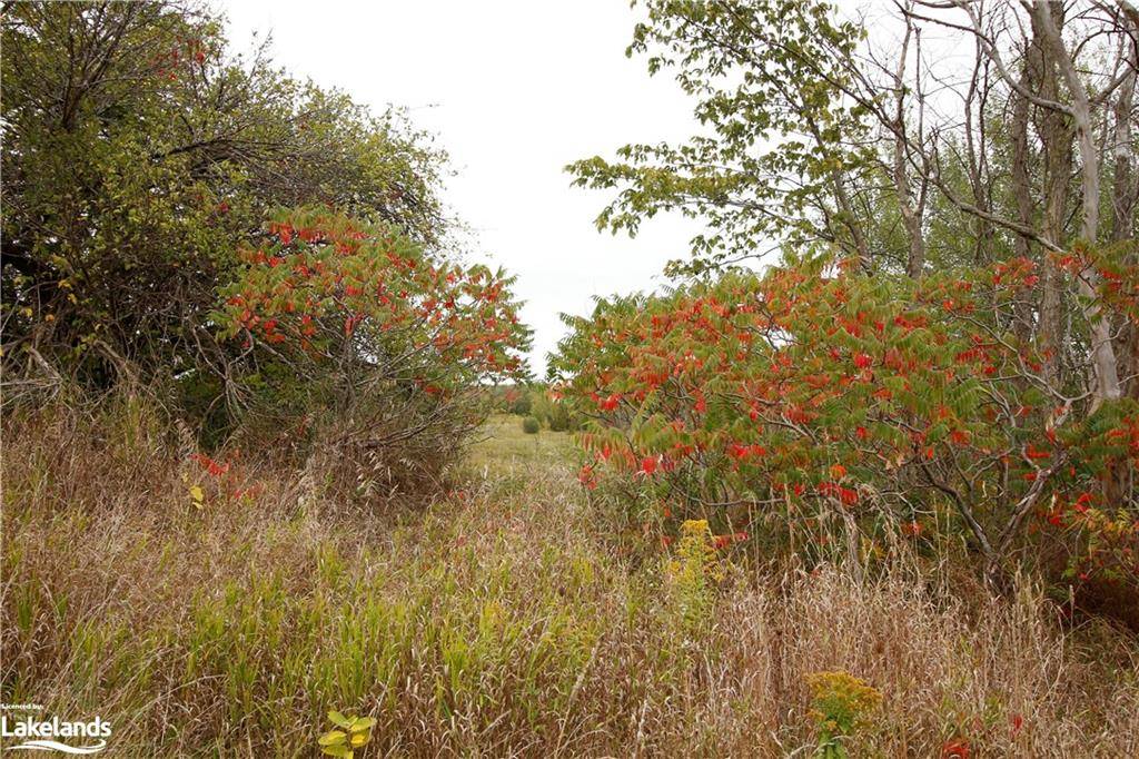 Clearview, ON L0M 1S0,0 3/4 Sunnidale Sideroad