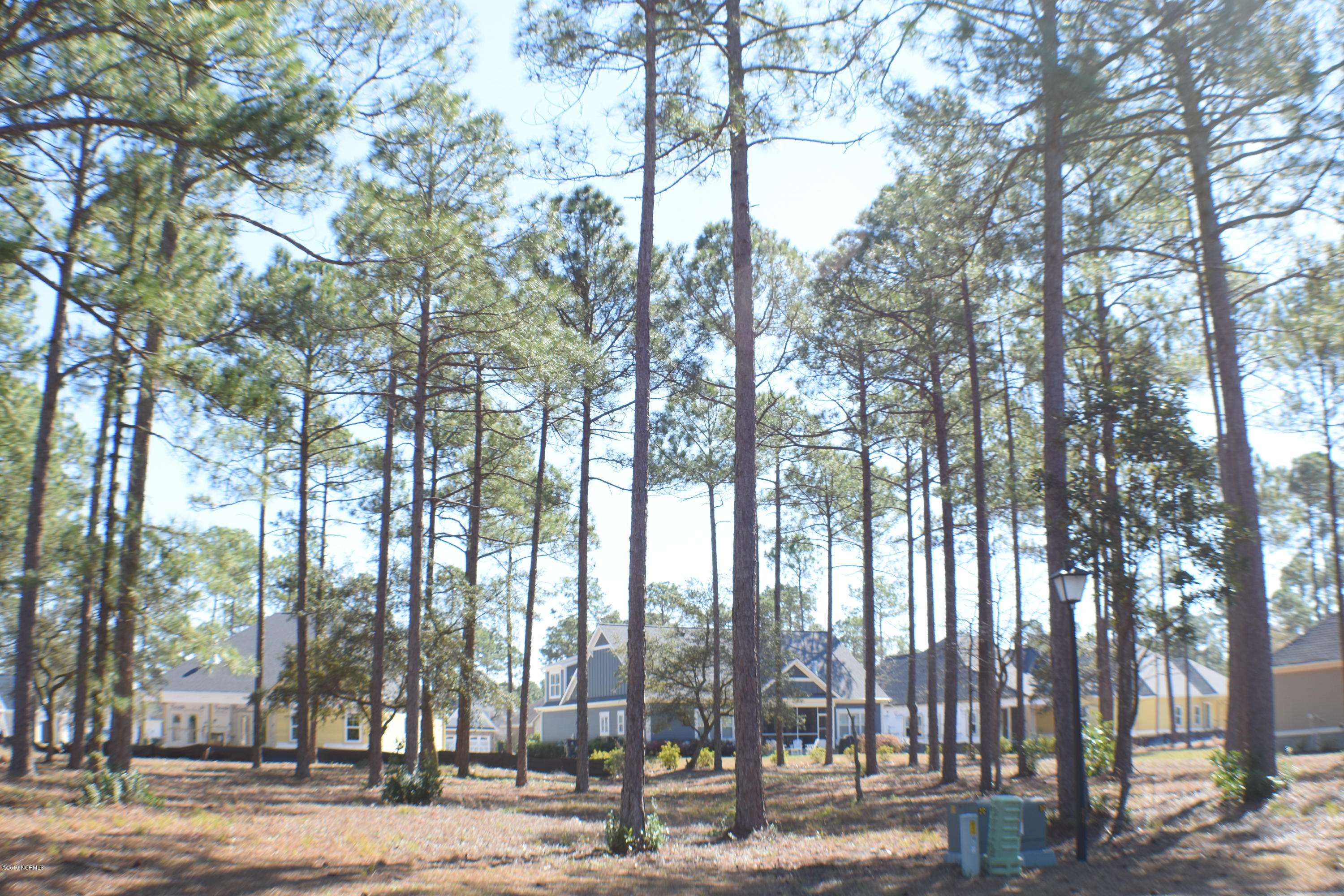 Sunset Beach, NC 28468,407 Planters Ridge DR