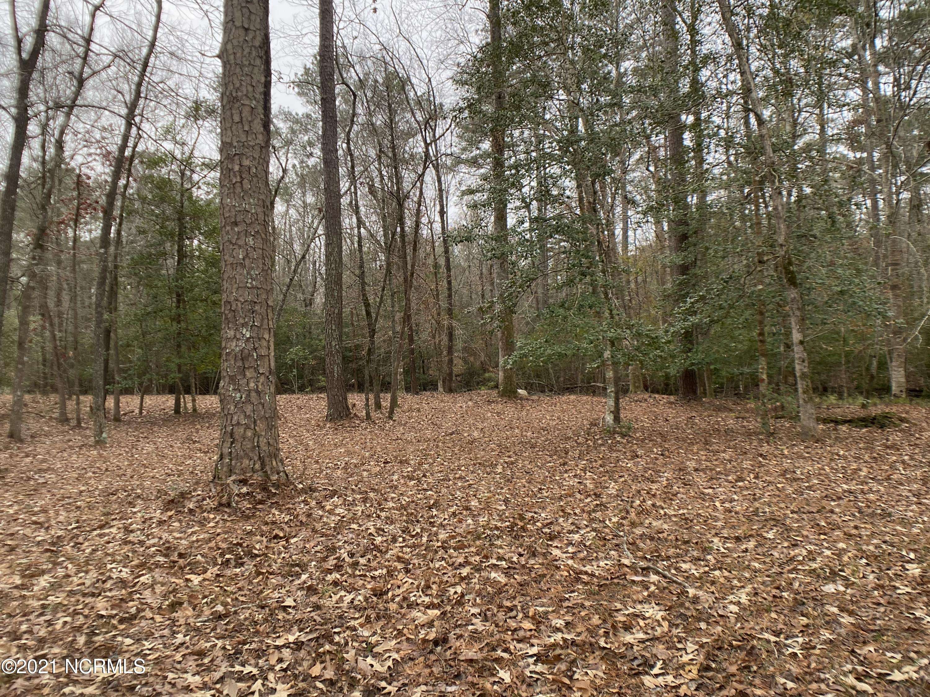 Chocowinity, NC 27817,Lot 92 Waters Edge DR