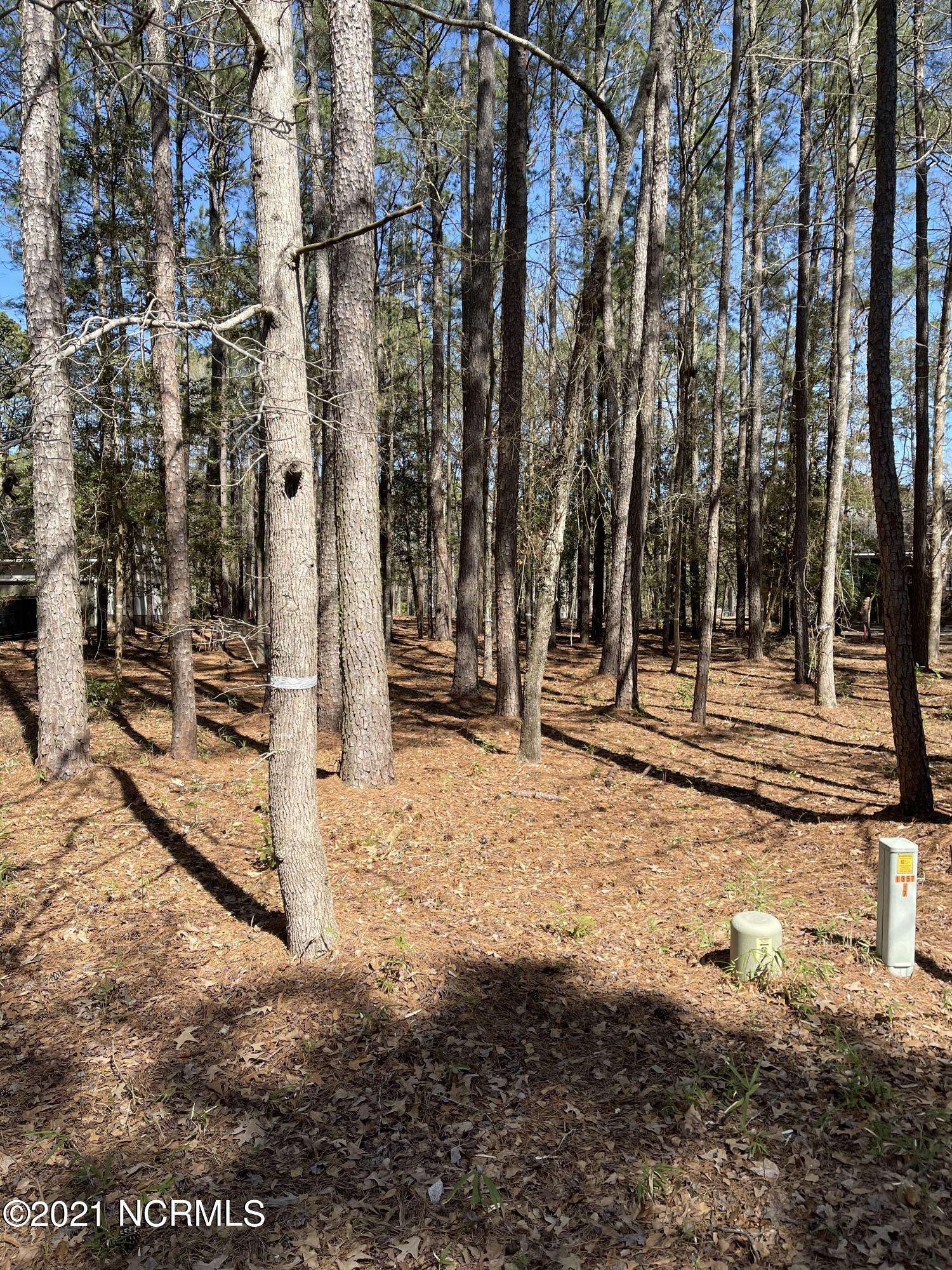 Washington, NC 27889,193 Pamlico River DR