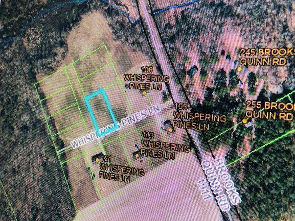 Magnolia, NC 28453,13 Whispering Pines LN