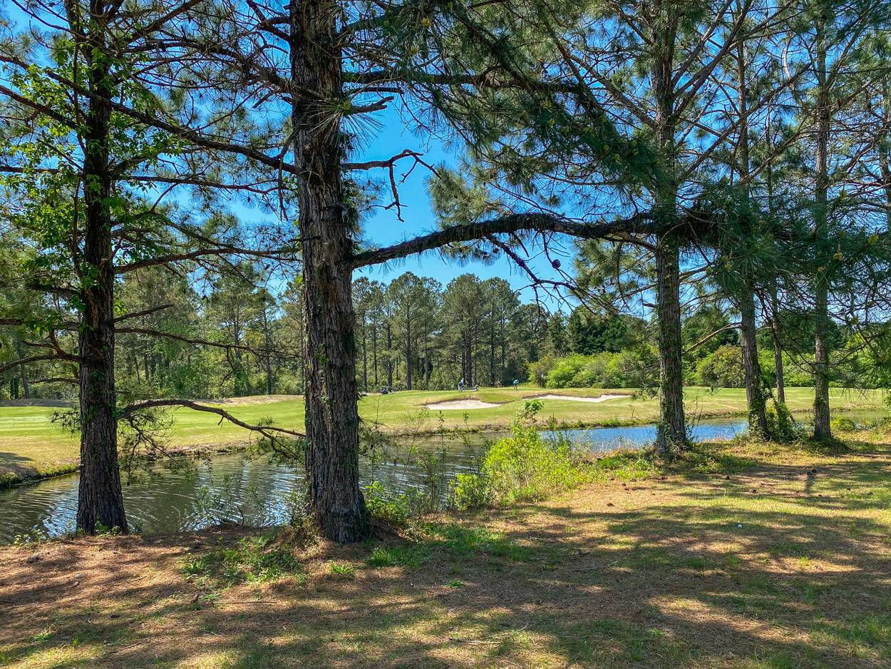 Sunset Beach, NC 28468,8845 Carenden CT