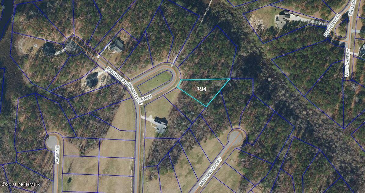 Minnesott Beach, NC 28510,44 Palm CT