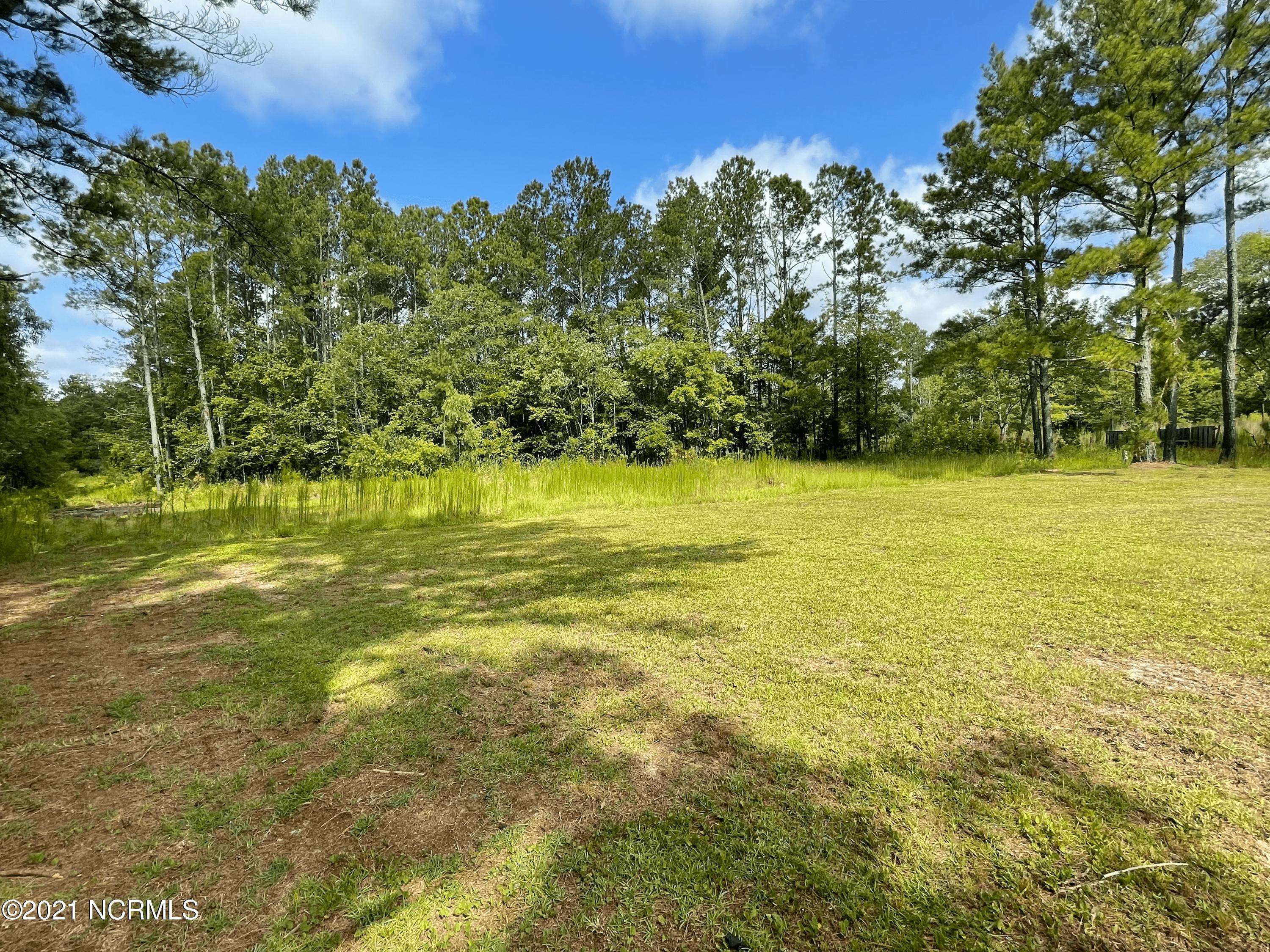 Burgaw, NC 28425,3536 Whitestocking RD