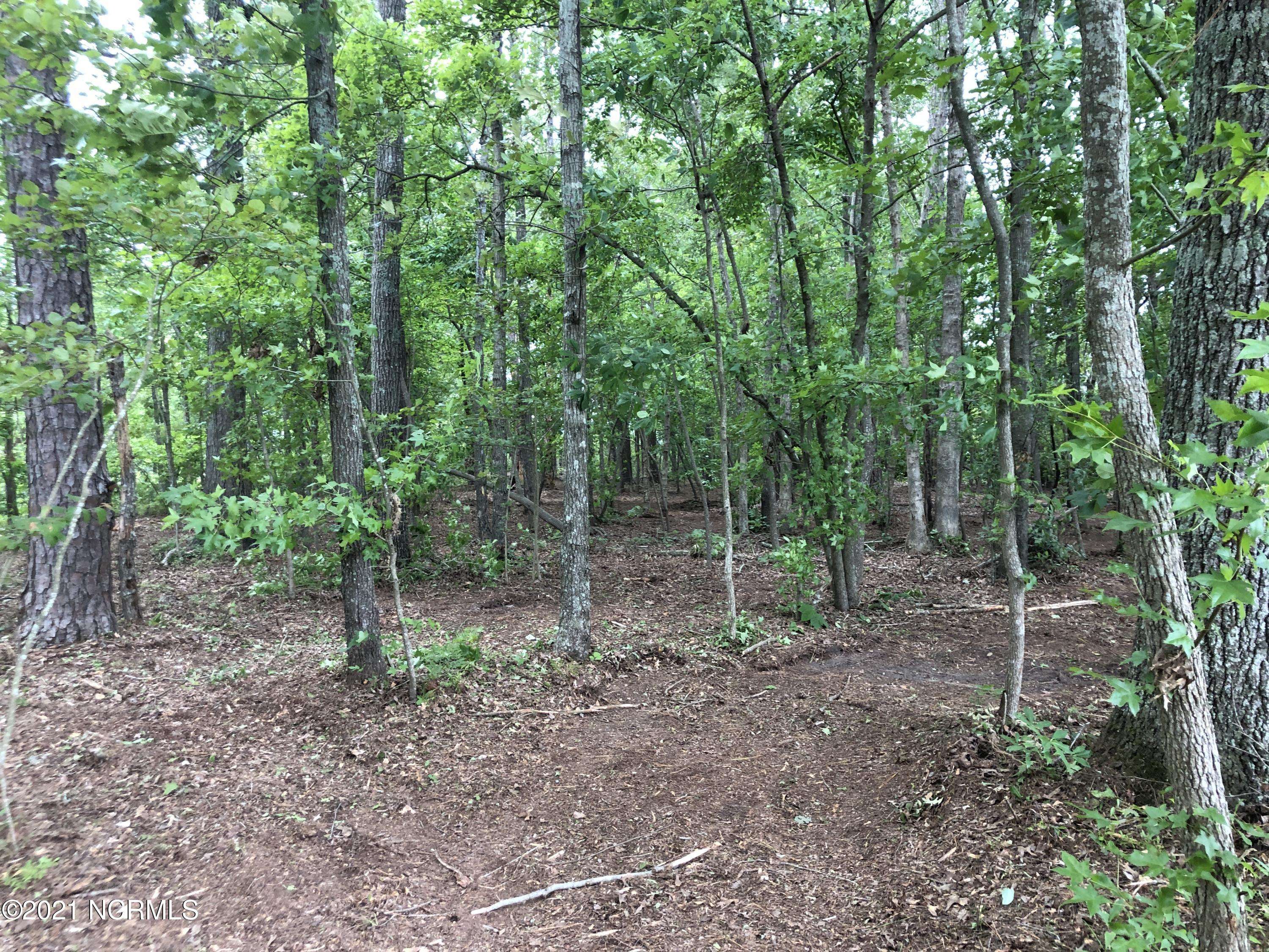 Belhaven, NC 27810,Lot 29 Chad LOOP