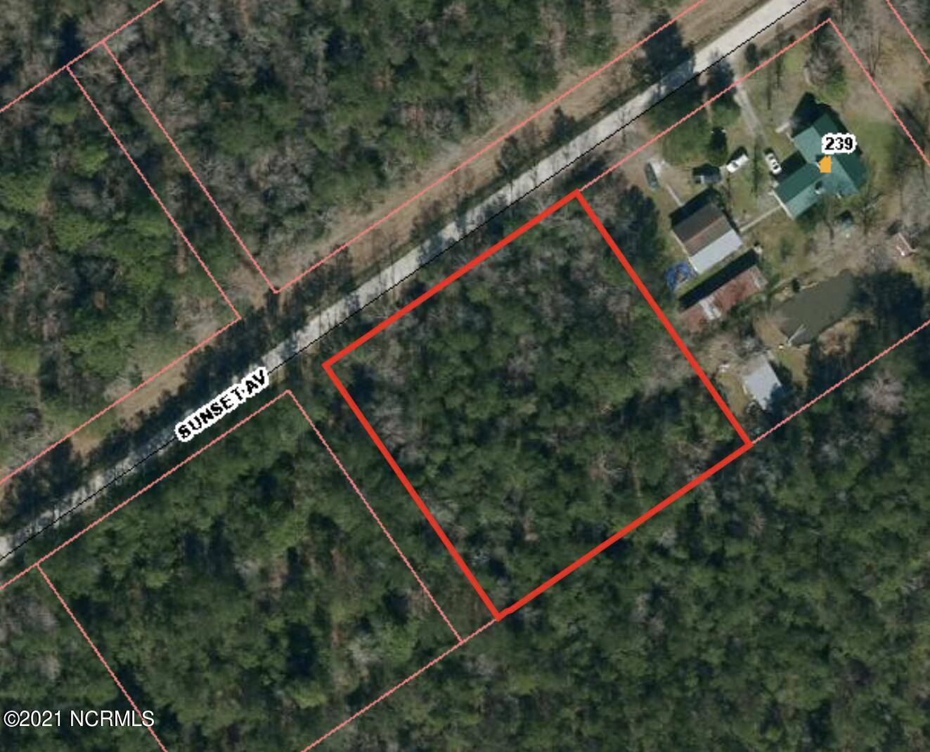 Willard, NC 28478,Lot 2 1.01 Acres Sunset AVE