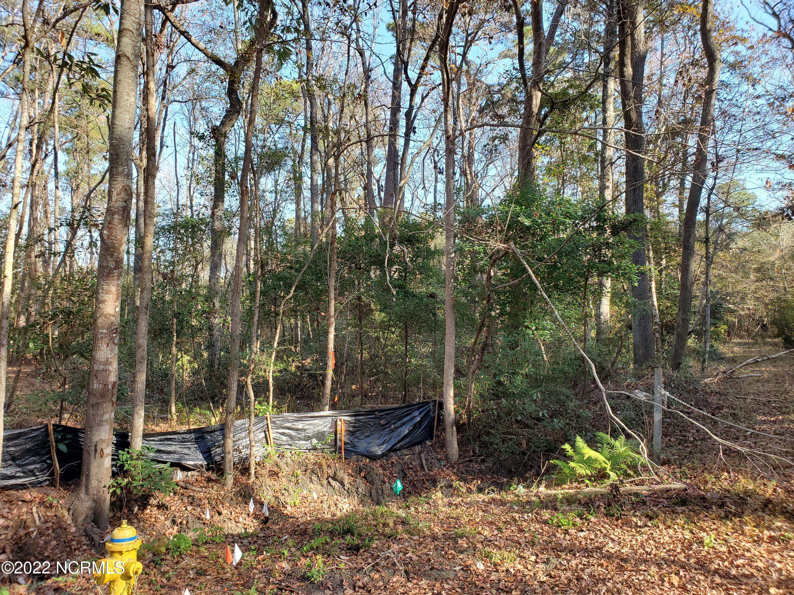 Calabash, NC 28467,101 Northeast DR NW