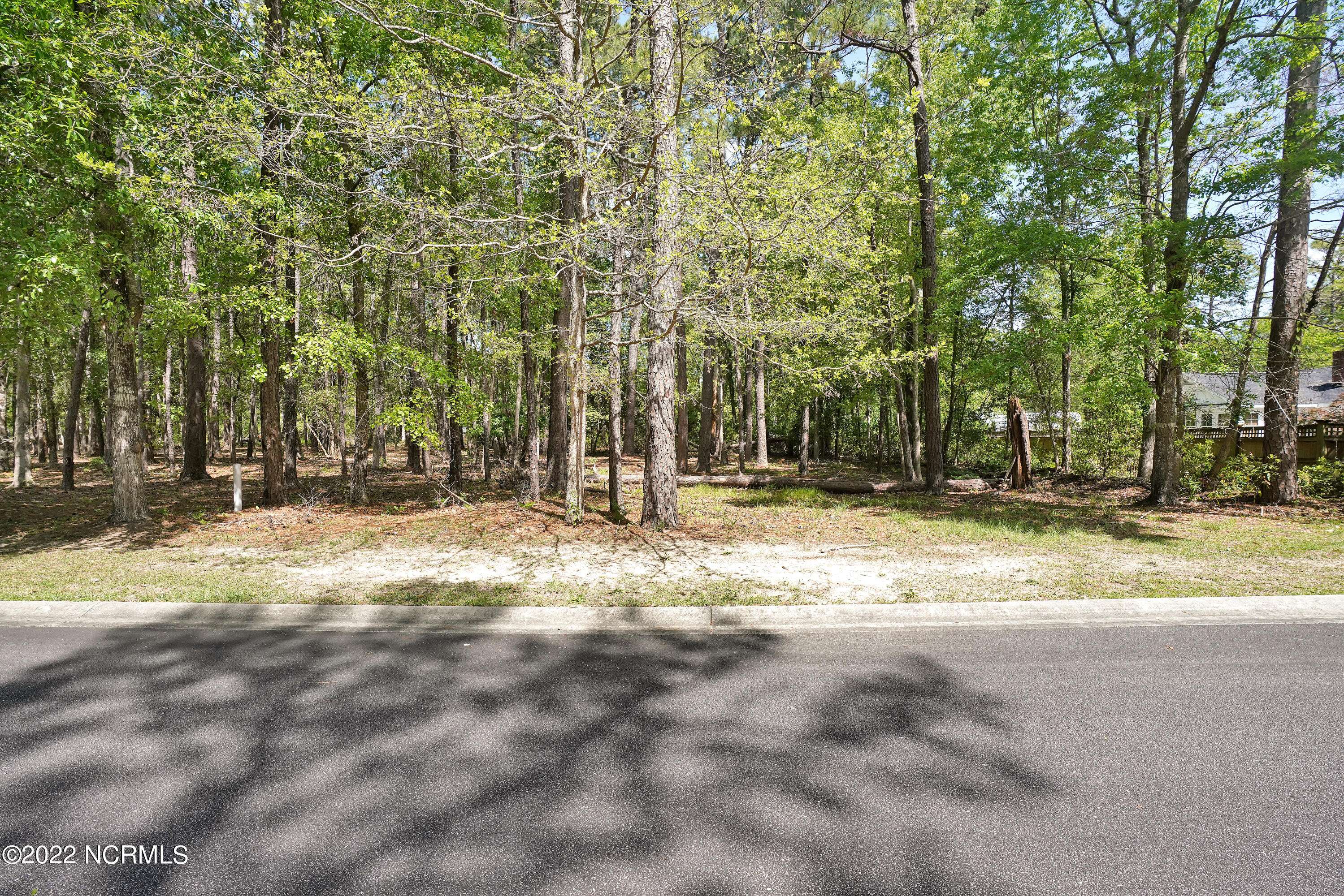 Shallotte, NC 28470,3496 Fairway Crest DR