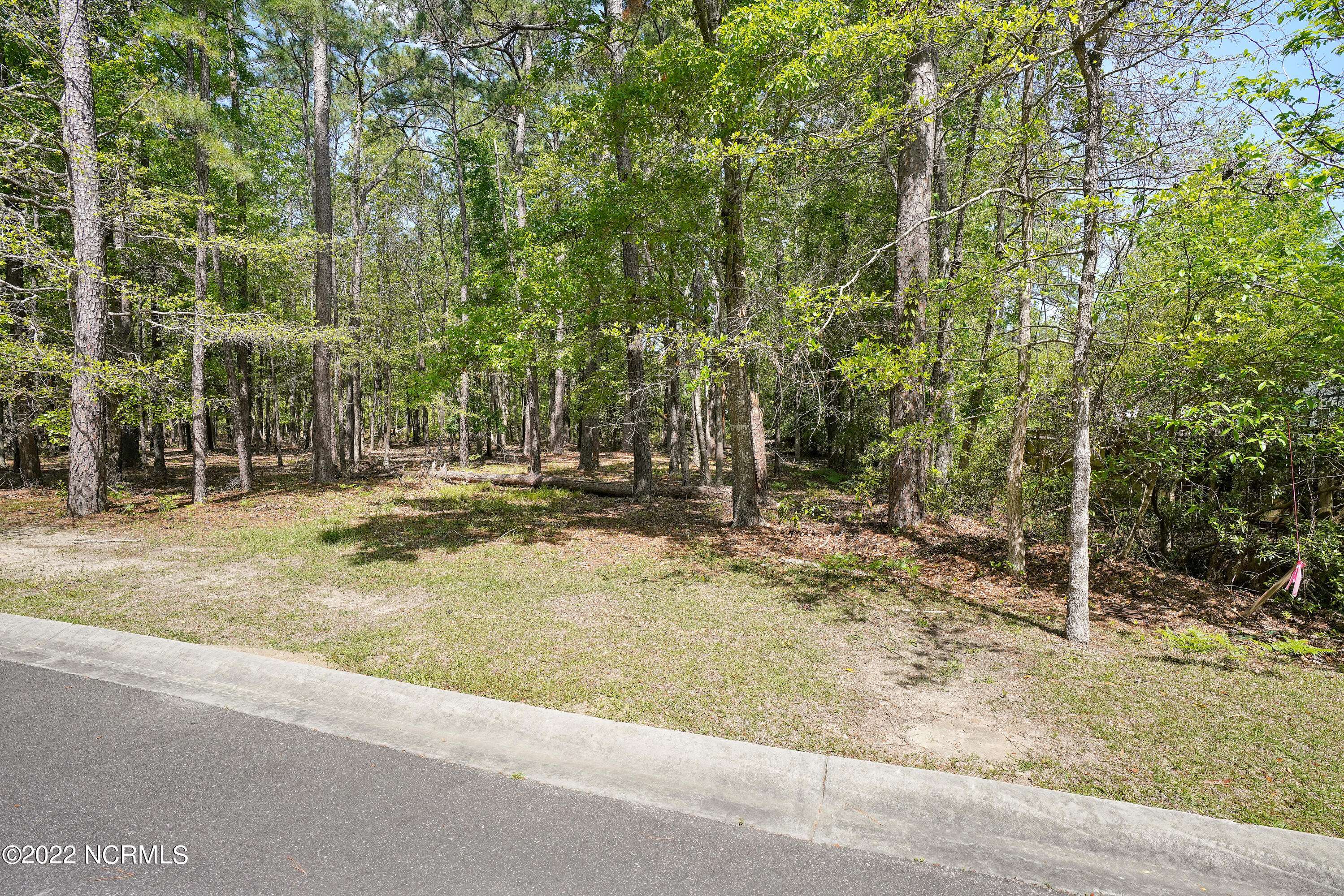 Shallotte, NC 28470,3496 Fairway Crest DR