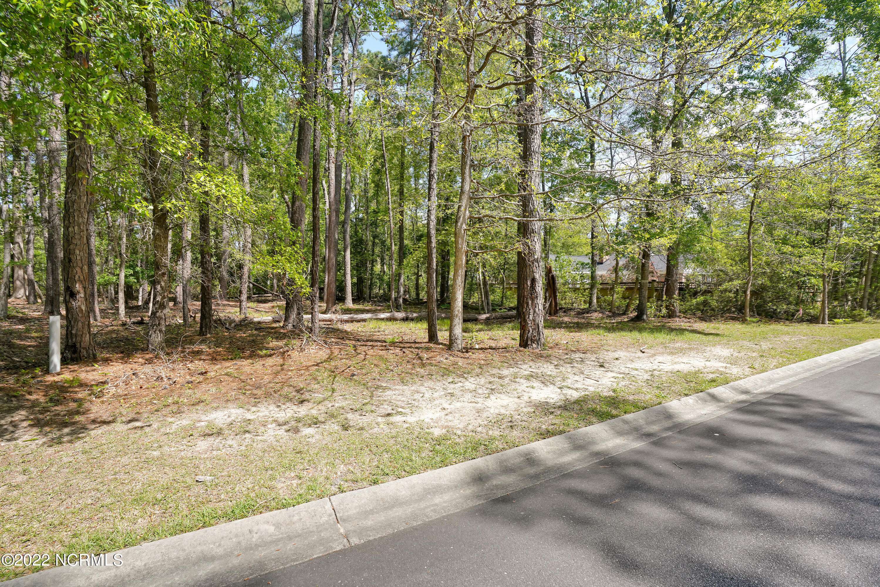 Shallotte, NC 28470,3496 Fairway Crest DR