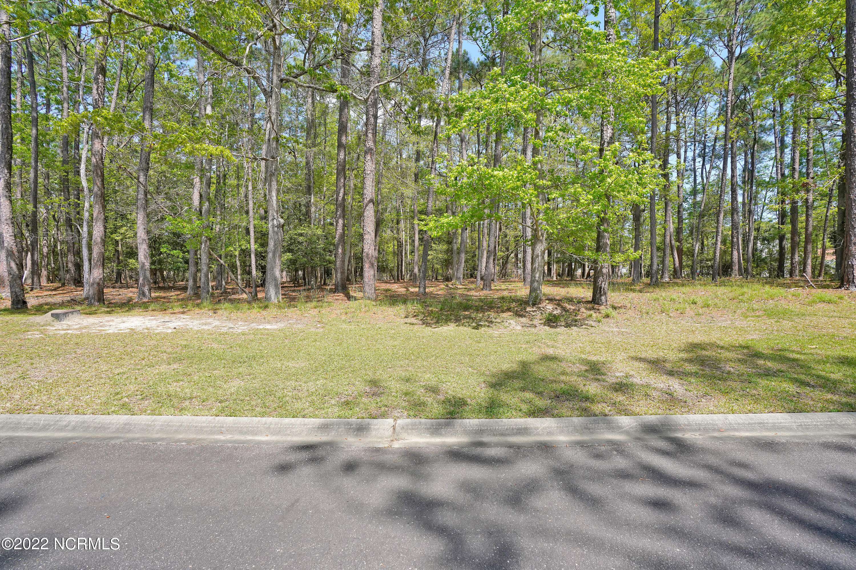 Shallotte, NC 28470,3736 Pine Brook TRL