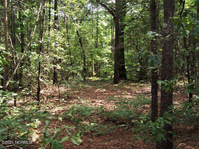 Rockingham, NC 28379,Lot 159 Tbd North State LN