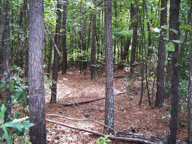 Rockingham, NC 28379,Lot 159 Tbd North State LN