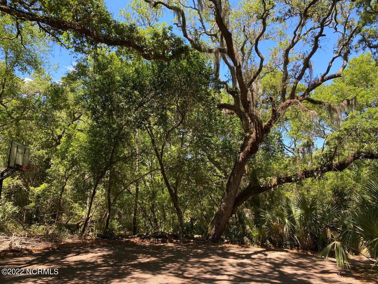 Bald Head Island, NC 28461,9 Partridge Berry CT