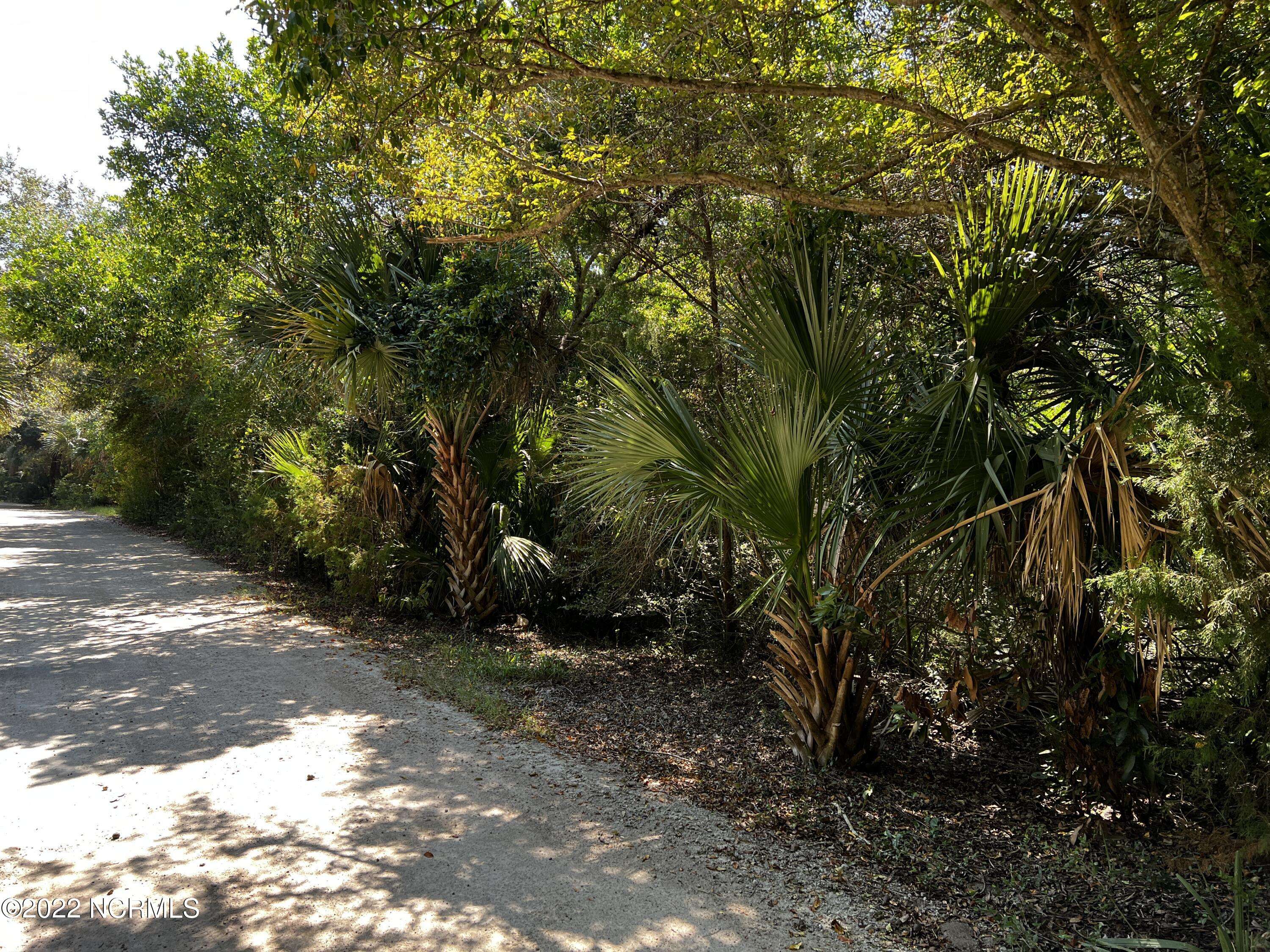 Bald Head Island, NC 28461,51 Cape Creek RD