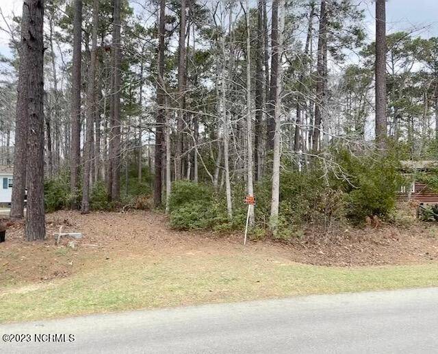 Calabash, NC 28467,223 Ocean Forest DR NW