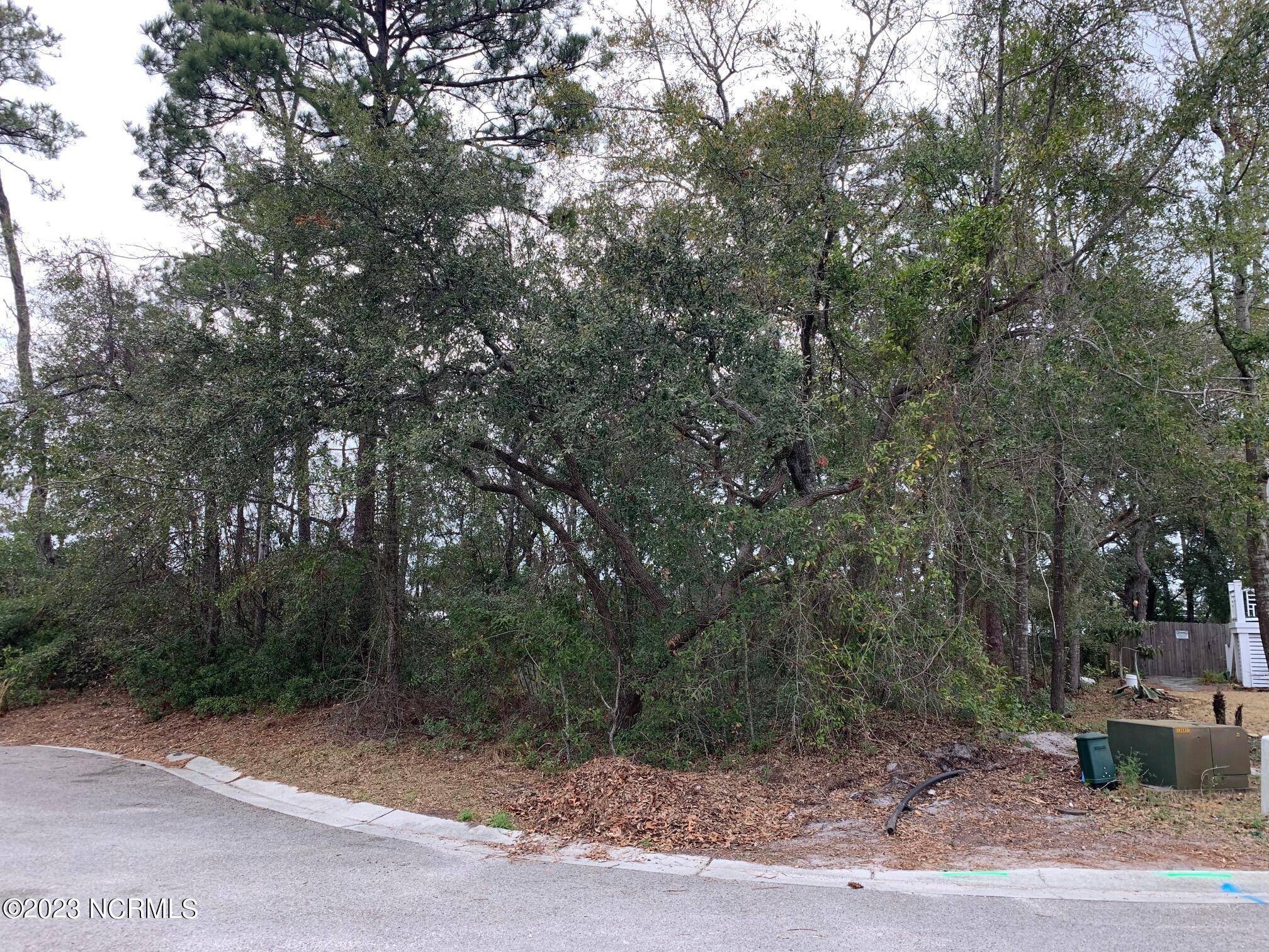 Carolina Beach, NC 28428,116 Island Mimosa DR