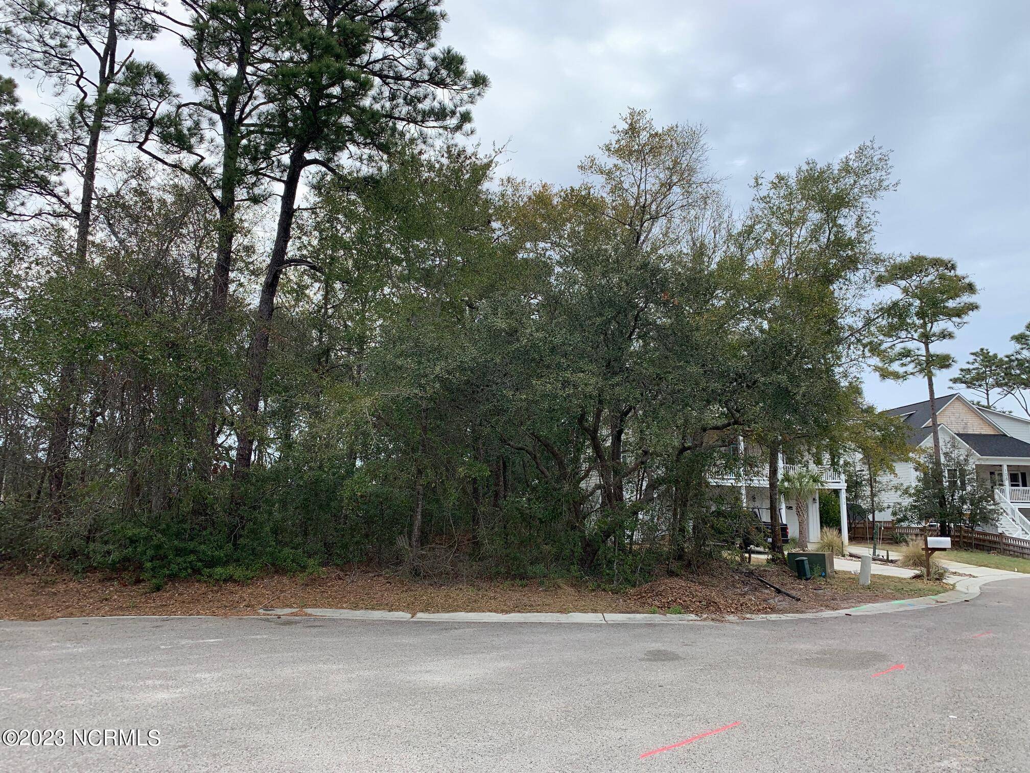 Carolina Beach, NC 28428,116 Island Mimosa DR