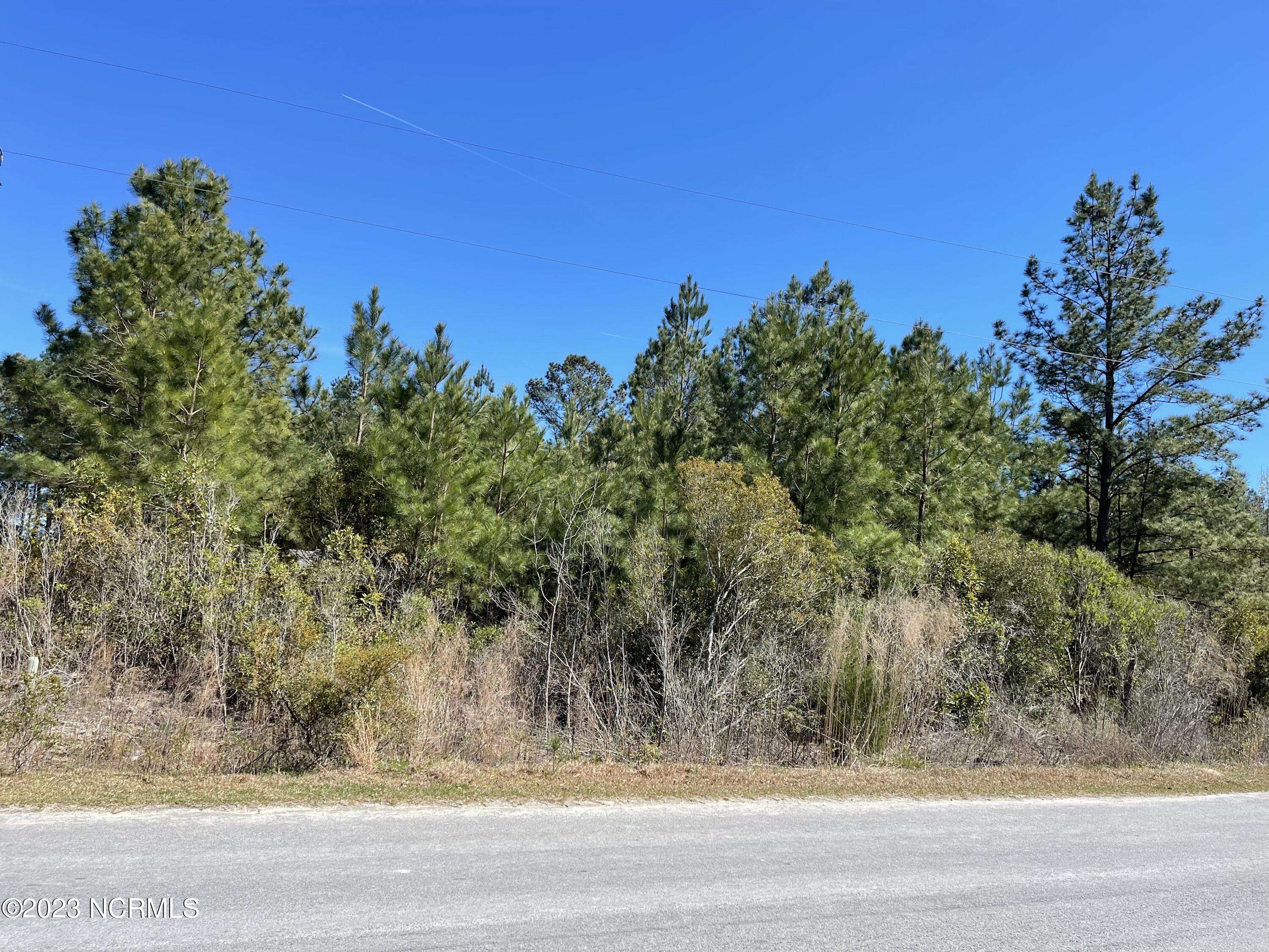 Leland, NC 28451,8990 Crooked Oak CT NE