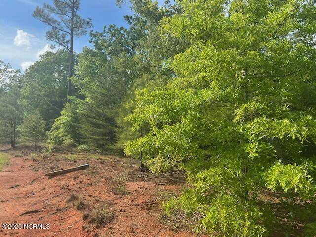 Rockingham, NC 28379,Lot# 96 Lakeview PASS