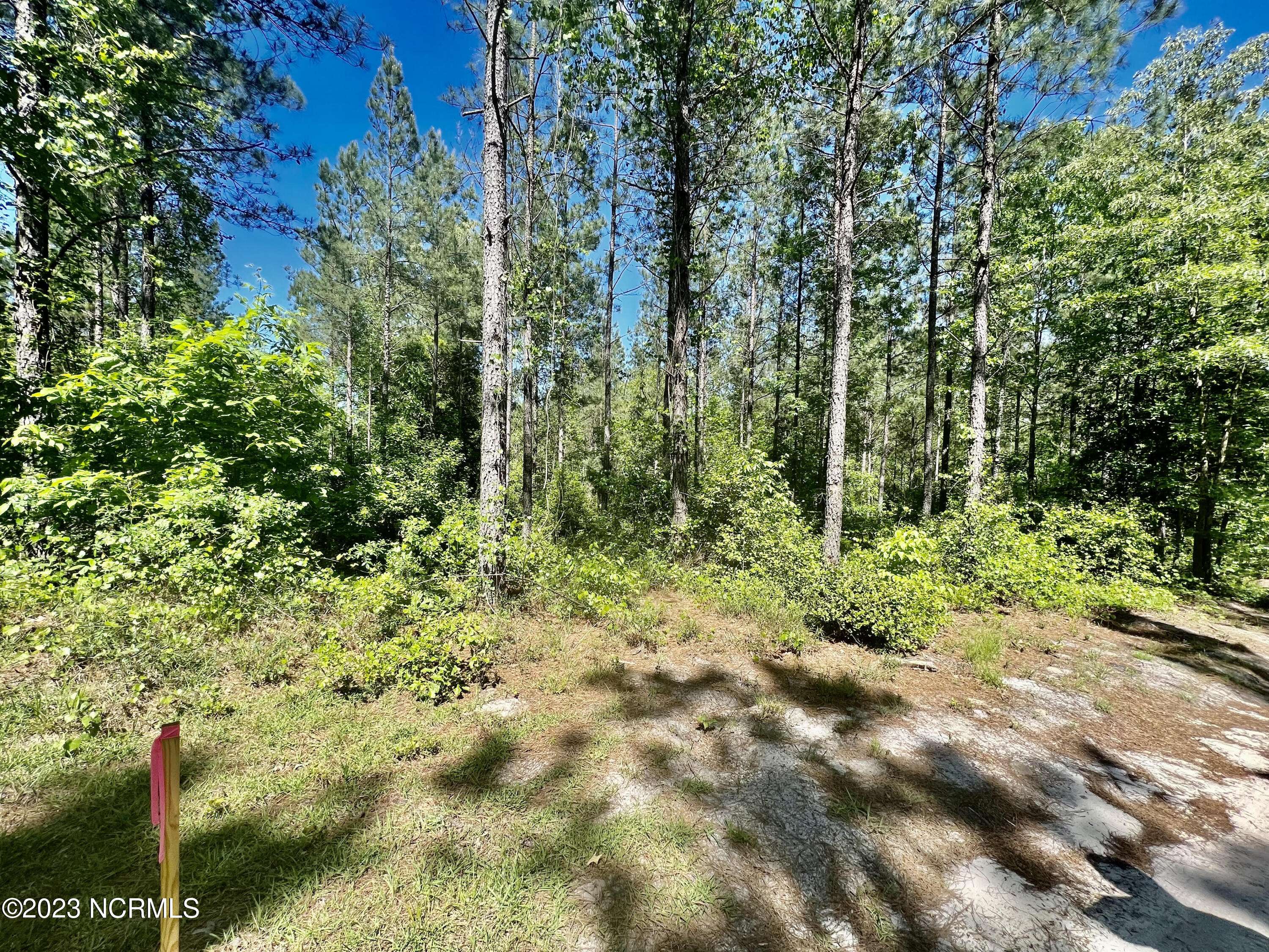 Rockingham, NC 28379,Tbd Chalk Fork RD